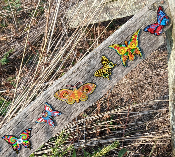 All 6 Open Edition XL Dead Butterfly Pins + Free Secret 7th Pin – Official  Emek Artman Merch