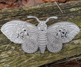 Set of 7 Silver Metal XL Dead Butterfly Pins